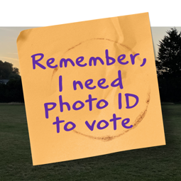 Remember, I need photo ID to vote