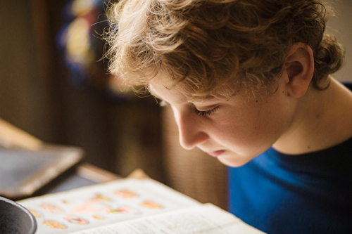 A child looking an item in the collect at the D.H. Lawrence Birthplace Museum