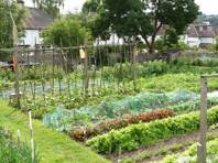 Allotments