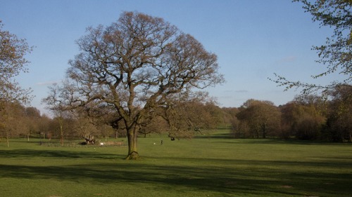 Bramcote Hills Park