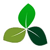 Nature Conservation Icon (Three connected leaves)
