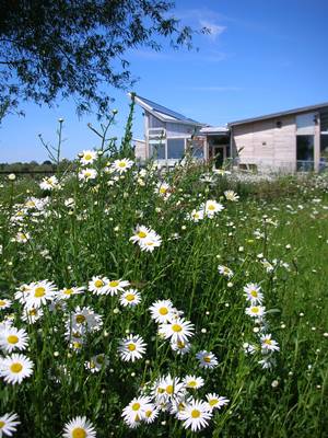 Attenborough Nature Reserve Centre