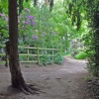 Bramcote Parks Icon