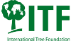 International Tree Foundation Logo