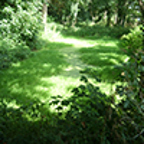 Watnall Parks Icon