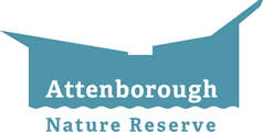 Attenborough Nature Reserve Logo