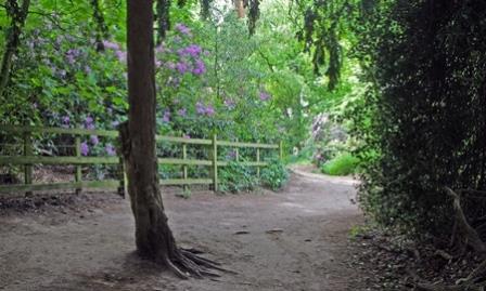 Bramcote Hills Park Woodland