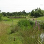 Greasley Parks Icon