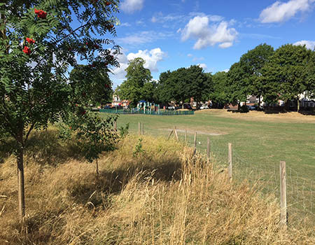 Jubilee Park in Eastwood