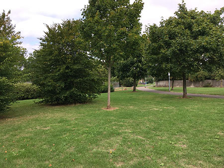 Chetwynd Road Park