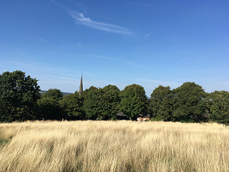 View in King George's Park