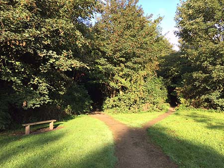 Pathway through Smithurst Meadows