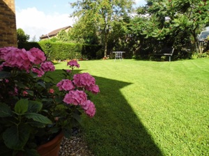 Image of council garden