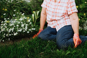 Person kneeling on the grass doing some gardening