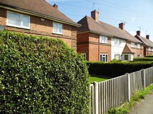 Back garden of a Council Home enclosed by a fence