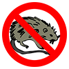 Pests and Infestations Icon