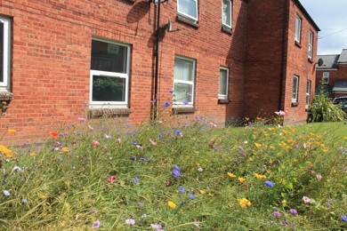 Hopkins Court - Independent Living Scheme