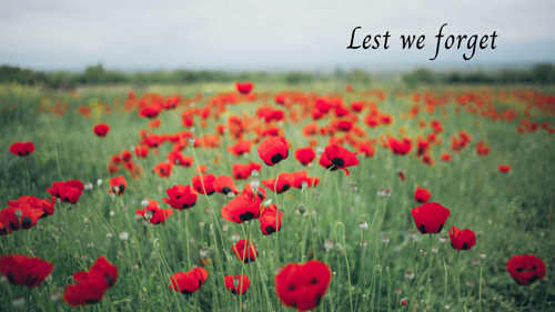 A field of poppies with the words lest we forget