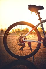 Bike Bike