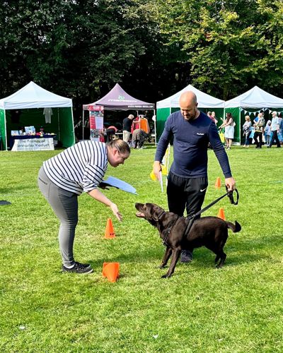 The dog show at the 2024 green festival