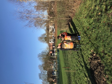 Jubilee Park tree planting with school