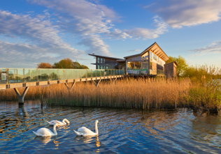 Attenborough Nature Reserve