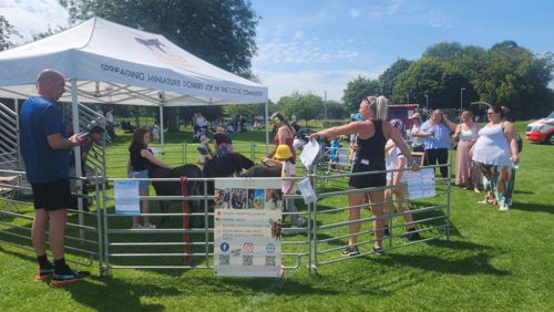 Wee Donkeys at a Play Day