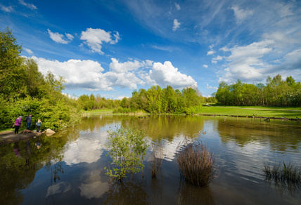 Pond at Colliers Wood with people on the edge looking out over it