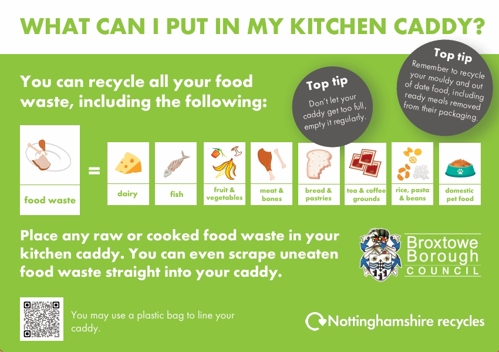 Internal Caddy Sticker- What can I put in my kitchen caddy